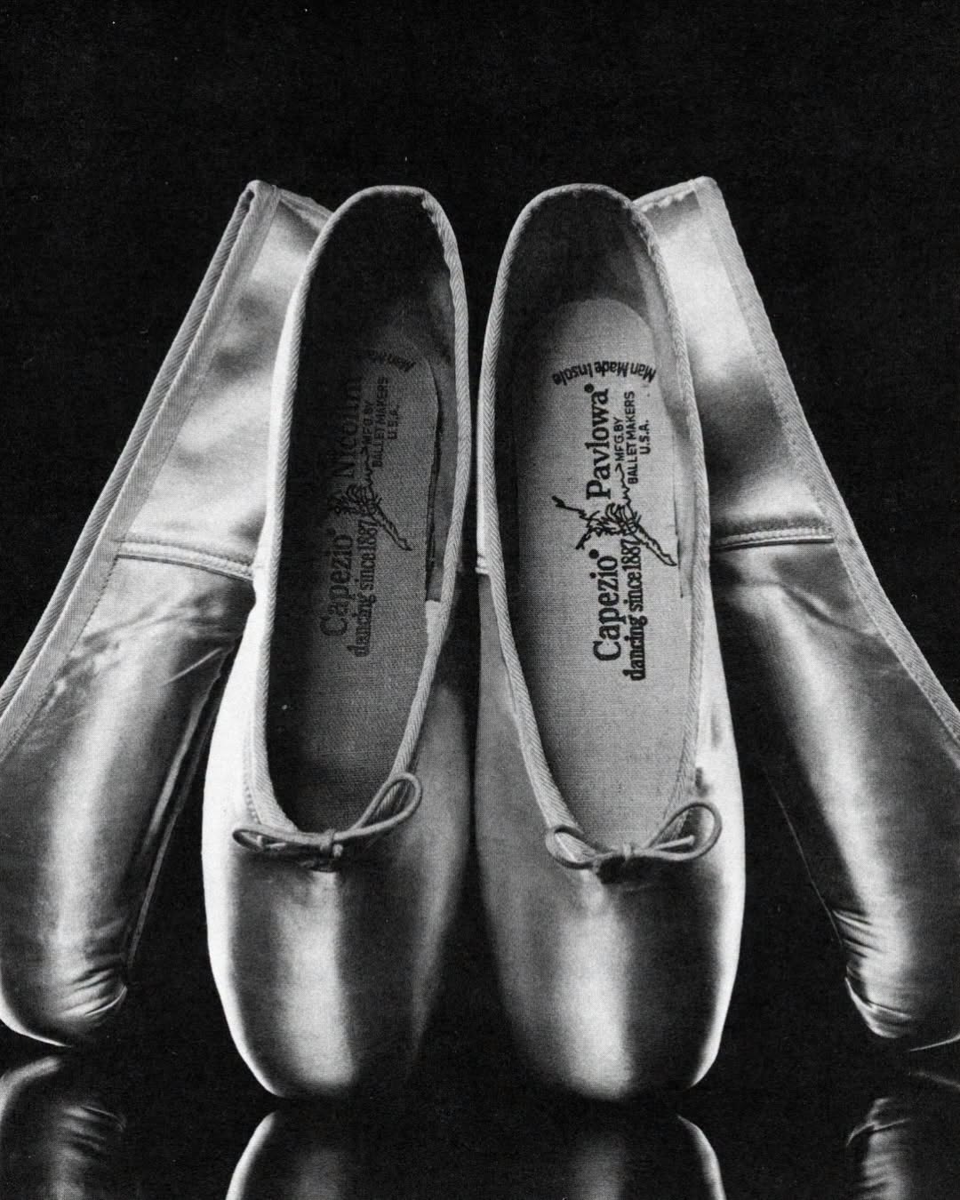 Capezio 1165W Anna Pointe Shoe