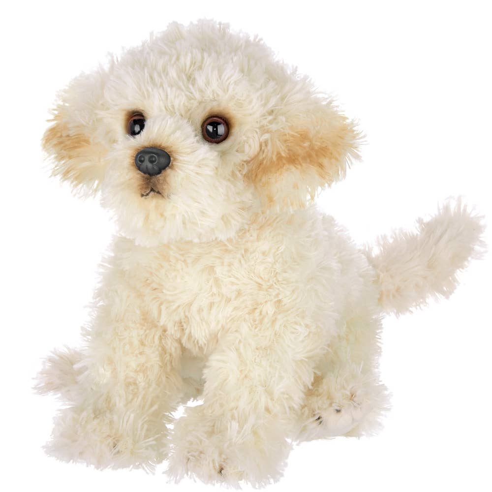 Bisquit the Labradoodle – Fanci Footworks Dance~Activewear