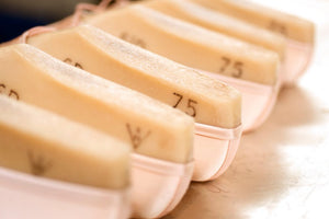 Capezio 1160W Veloce Pointe Shoe