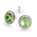 RHINESTONES UNLIMITED 15MM EARRINGS - Fanci Footworks