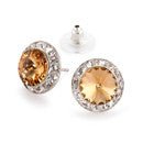 RHINESTONES UNLIMITED 15MM EARRINGS - Fanci Footworks