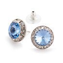 RHINESTONES UNLIMITED 15MM EARRINGS - Fanci Footworks